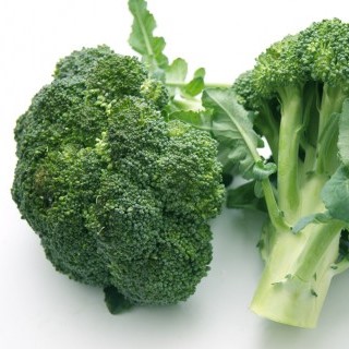 ブロッコリーの歴史 れきこん
